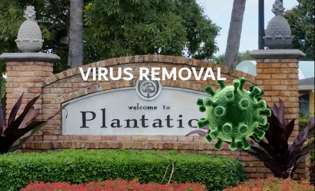 Virus Removal Plantation